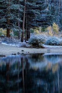 Превью обои деревья, берег, лес, стол, река, озеро