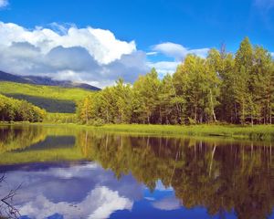 Превью обои деревья, берег, озеро, сибирь, лес, отражение, небо, облака