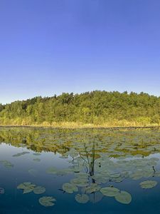 Превью обои деревья, даль, листья, вода, озеро