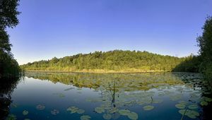 Превью обои деревья, даль, листья, вода, озеро