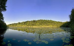 Превью обои деревья, даль, листья, вода, озеро