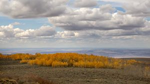 Превью обои деревья, долина, осень, природа