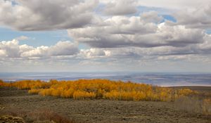 Превью обои деревья, долина, осень, природа