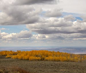 Превью обои деревья, долина, осень, природа