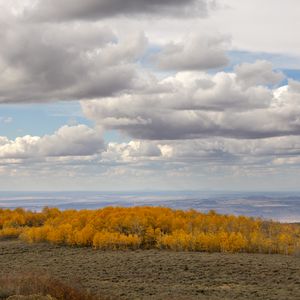 Превью обои деревья, долина, осень, природа