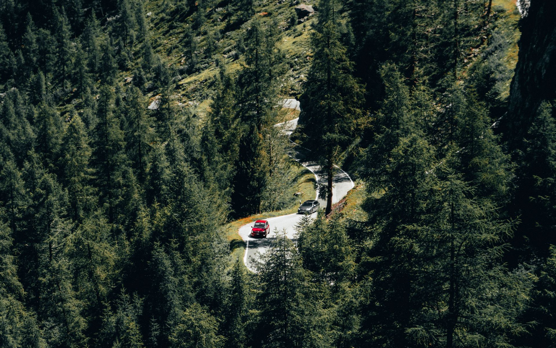 Slope 4. Лесная машина на склоне. Заготовка леса на косогорах канатной дорогой. Лес на склоне фото. На склоне в лесу ночью фото.