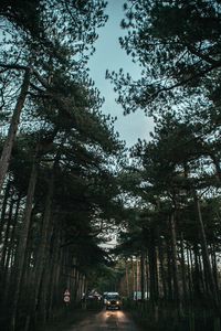 Превью обои деревья, дорога, небо, авто