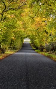 Превью обои деревья, дорога, осень, шотландия