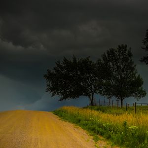 Превью обои деревья, дорога, поле, облака, природа