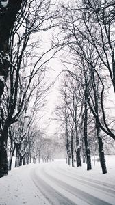 Превью обои деревья, дорога, поворот, зима, снег