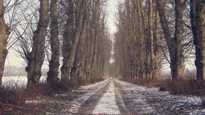 Превью обои деревья, дорога, снег, зима