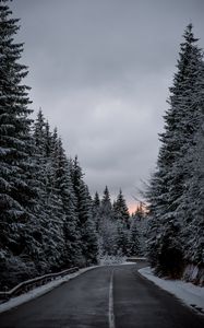 Превью обои деревья, дорога, зима, снег