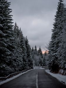 Превью обои деревья, дорога, зима, снег