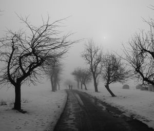 Превью обои деревья, дорога, зима, туман, асфальт, пара, прогулка, парк