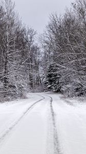 Превью обои деревья, дорожка, снег, зима, природа, пейзаж