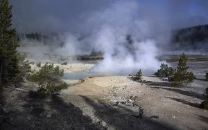 Превью обои деревья, дым, пар, озеро, источники, природа