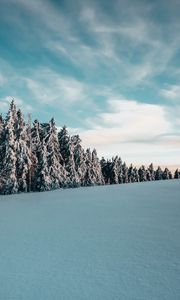 Превью обои деревья, ели, снег, пейзаж, зима