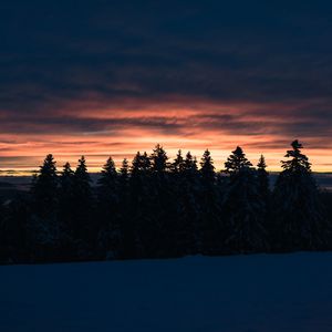 Превью обои деревья, елки, закат, снег, сумерки, зима