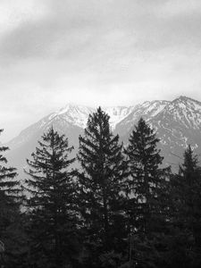 Превью обои деревья, гора, небо, облака, черно-белый
