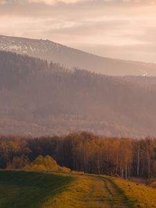 Превью обои деревья, гора, пейзаж, тропа