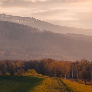 Превью обои деревья, гора, пейзаж, тропа