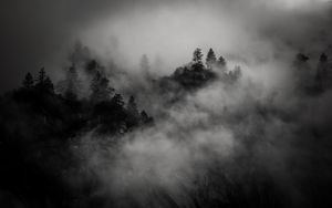 Превью обои деревья, гора, туман, темный