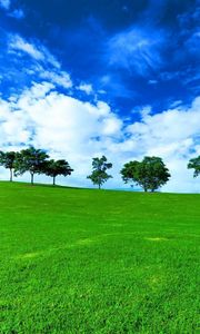 Превью обои деревья, горизонт, лето, ряд, облака, луг, голубой, зеленый, день