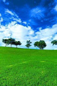 Превью обои деревья, горизонт, лето, ряд, облака, луг, голубой, зеленый, день