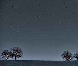 Превью обои деревья, горизонт, ночь, звезды