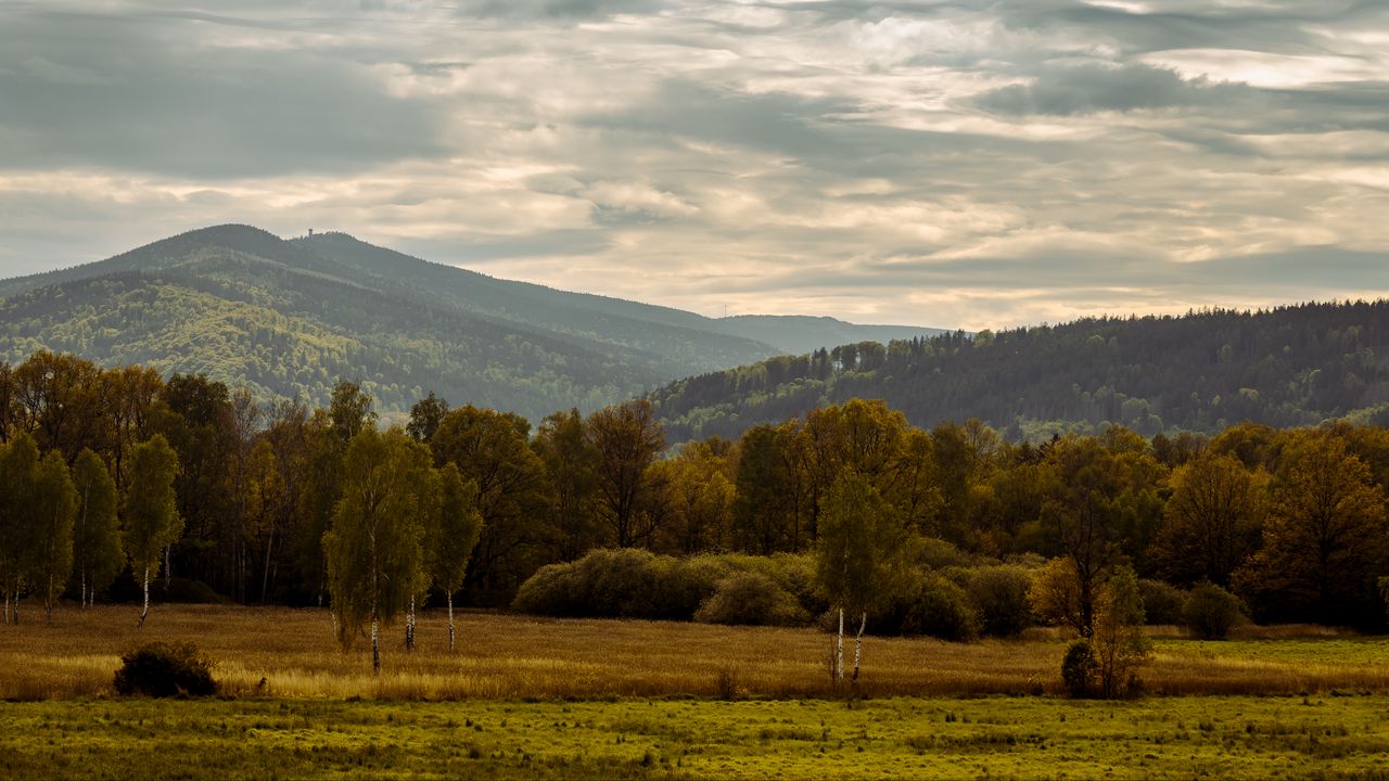 Обои деревья, горы, долина, природа, пейзаж