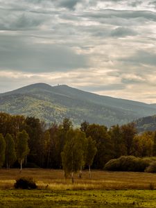 Превью обои деревья, горы, долина, природа, пейзаж