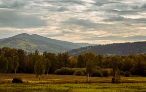 Превью обои деревья, горы, долина, природа, пейзаж