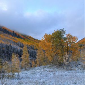 Превью обои деревья, горы, иней, осень