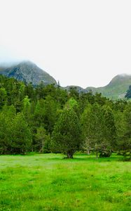 Превью обои деревья, горы, лужайка, трава, зелень