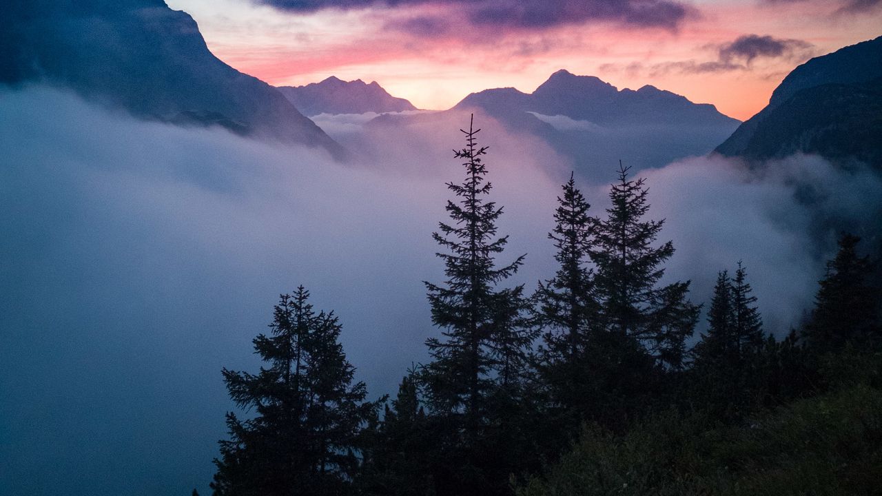 Обои деревья, горы, облака, туман, природа