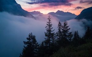Превью обои деревья, горы, облака, туман, природа