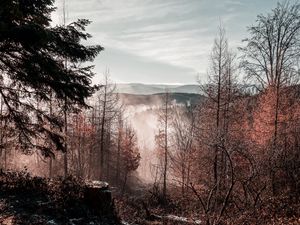 Превью обои деревья, горы, осень, туман, вид сверху, обзор