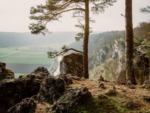 Превью обои деревья, горы, пейзаж, вид сверху