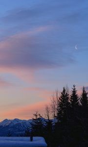 Превью обои деревья, горы, снег, небо, луна