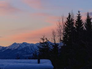Превью обои деревья, горы, снег, небо, луна