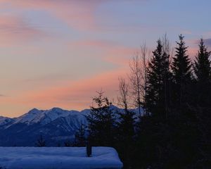 Превью обои деревья, горы, снег, небо, луна