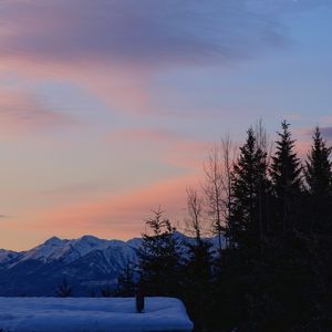 Превью обои деревья, горы, снег, небо, луна