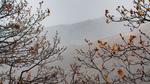 Превью обои деревья, горы, туман, осень, пейзаж