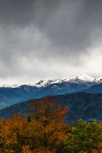 Превью обои деревья, горы, вершины, снег, пейзаж