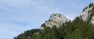 Превью обои деревья, холм, природа, лес