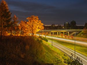 Превью обои деревья, холм, трава, ночь, осень