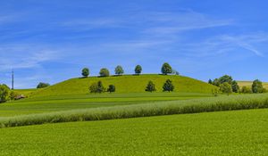 Превью обои деревья, холм, трава, природа