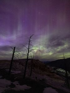 Превью обои деревья, холмы, северное сияние, ночь