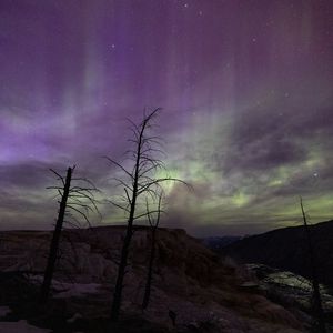 Превью обои деревья, холмы, северное сияние, ночь