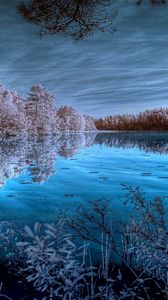 Превью обои деревья, иней, озеро, цвета, синий, белый, оттенки, отражение, холод, заморозки, небо